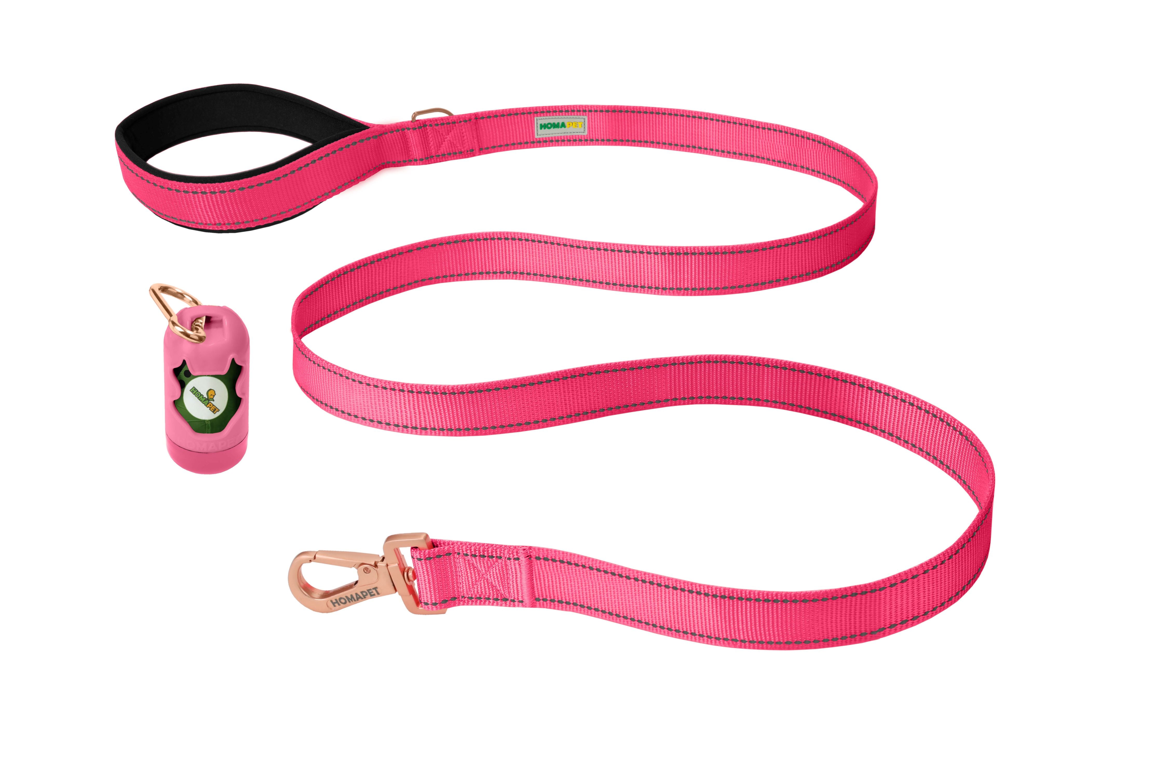 Pink Nylon Dog Leash