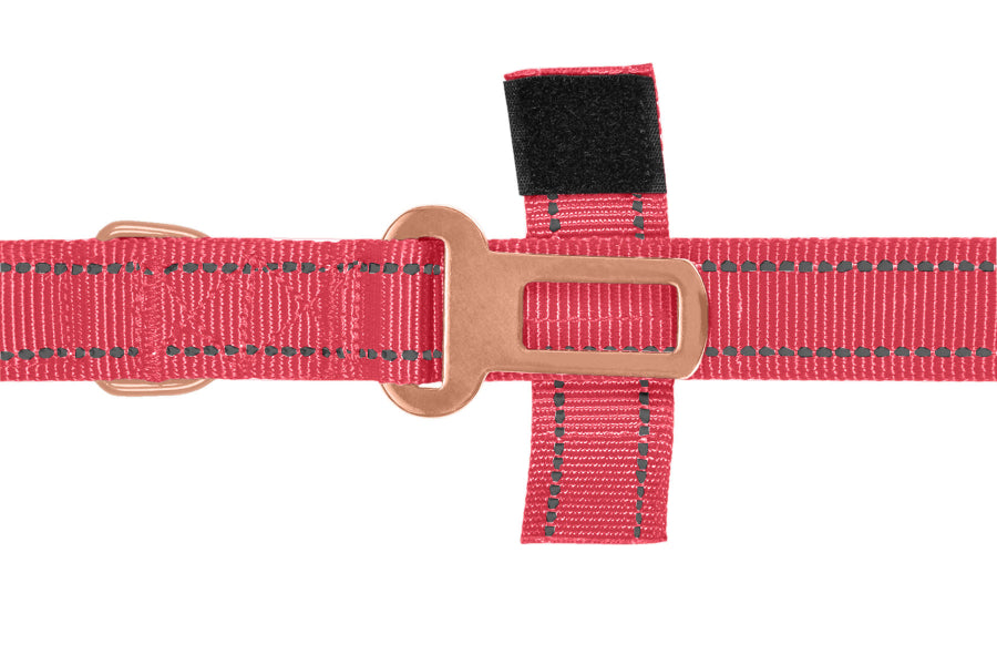 Pink Polyester Full Bungee Dog Leash