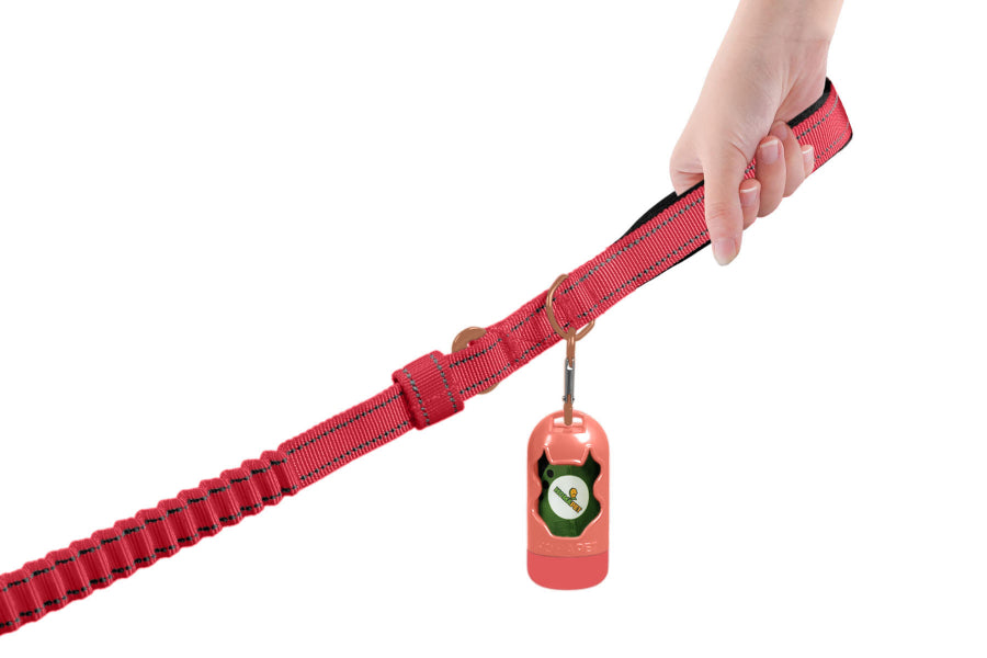 Pink Polyester Full Bungee Dog Leash