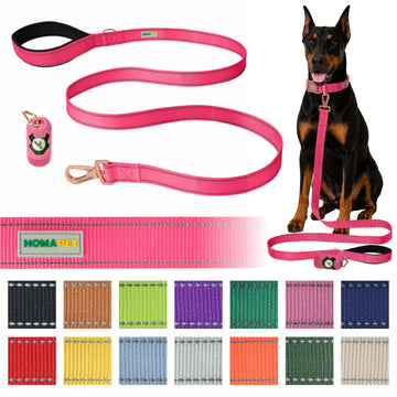 Pink Nylon Dog Leash