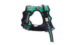 Polly Green No Pull Dog Harness