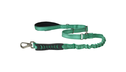 Poly Green Nylon Adjustable Bungee Dog Leash