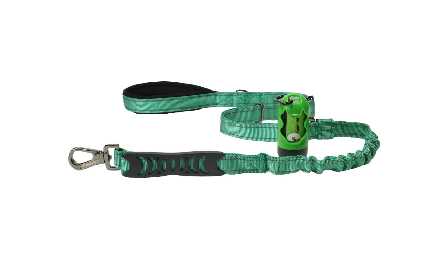 Poly Green Nylon Adjustable Bungee Dog Leash