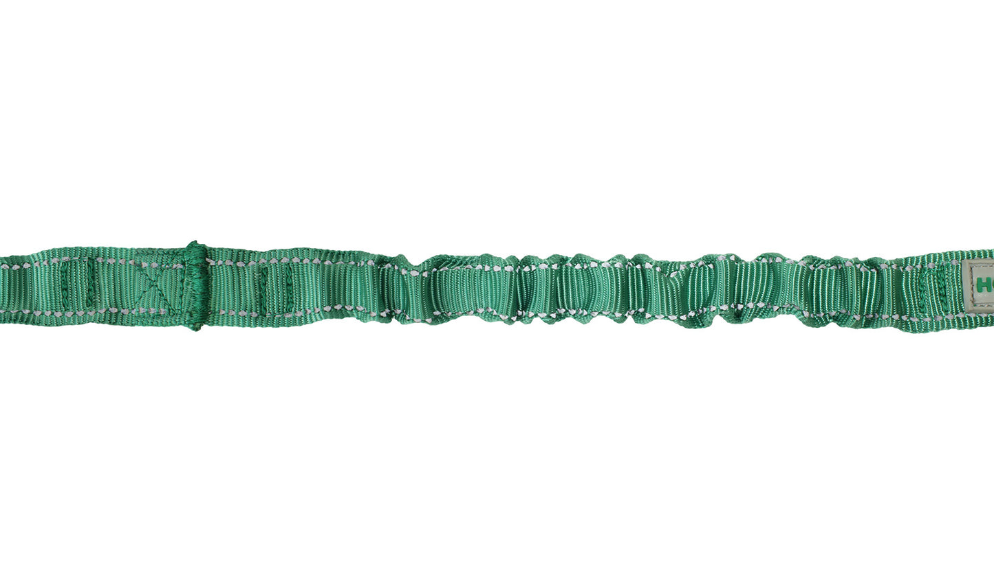 Poly Green Nylon Adjustable Bungee Dog Leash