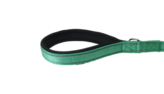 Poly Green Nylon Adjustable Bungee Dog Leash