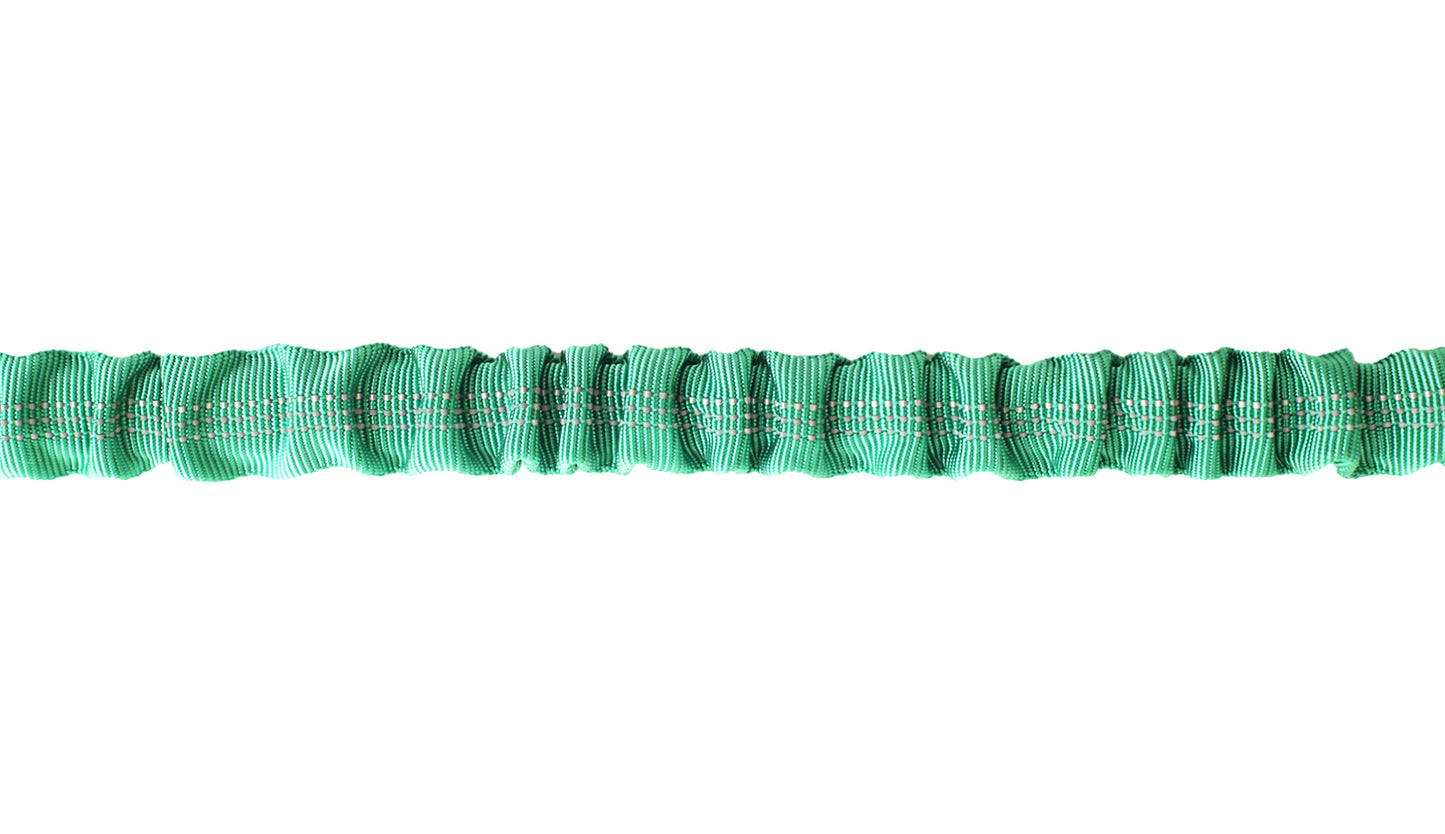 Poly Green Nylon Full Bungee Dog Leash