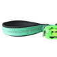 Poly Green Nylon Full Bungee Dog Leash