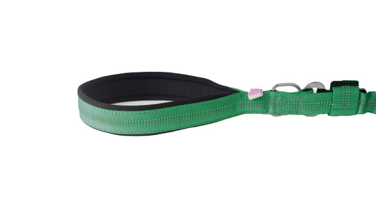 Poly Green Nylon Full Bungee Dog Leash