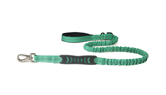 Poly Green Nylon Full Bungee Dog Leash