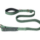 Poly Green Polyester Full Bungee Dog Leash