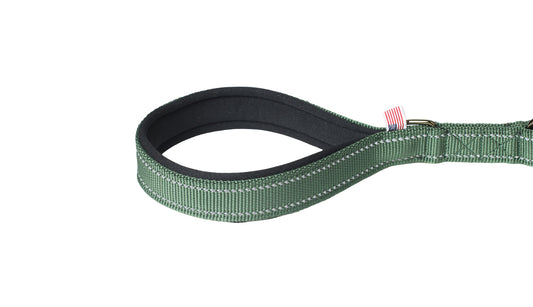 Poly Green Polyester Full Bungee Dog Leash