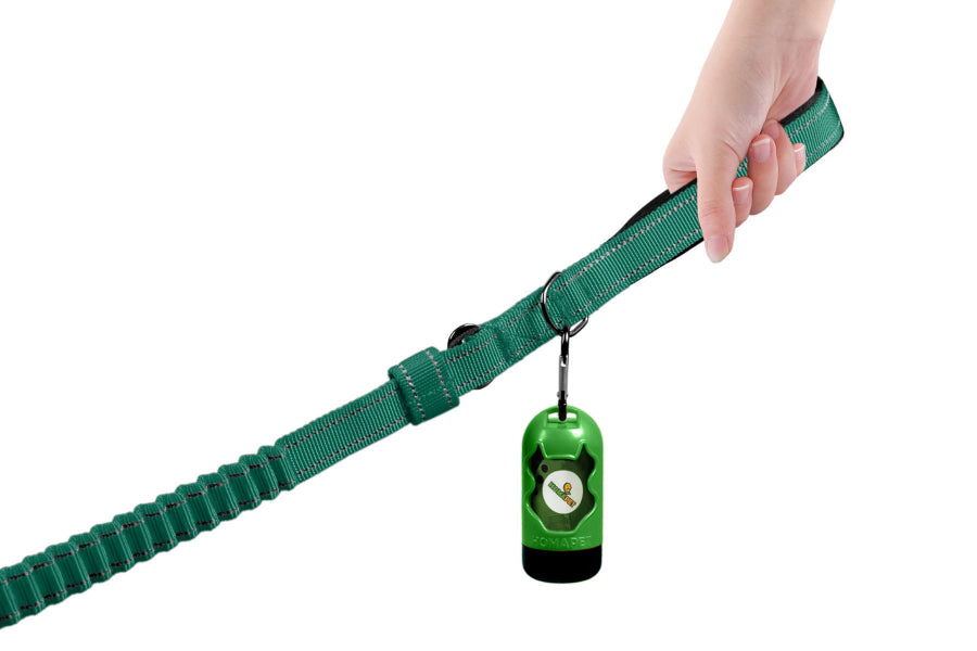 Poly Green Polyester Full Bungee Dog Leash