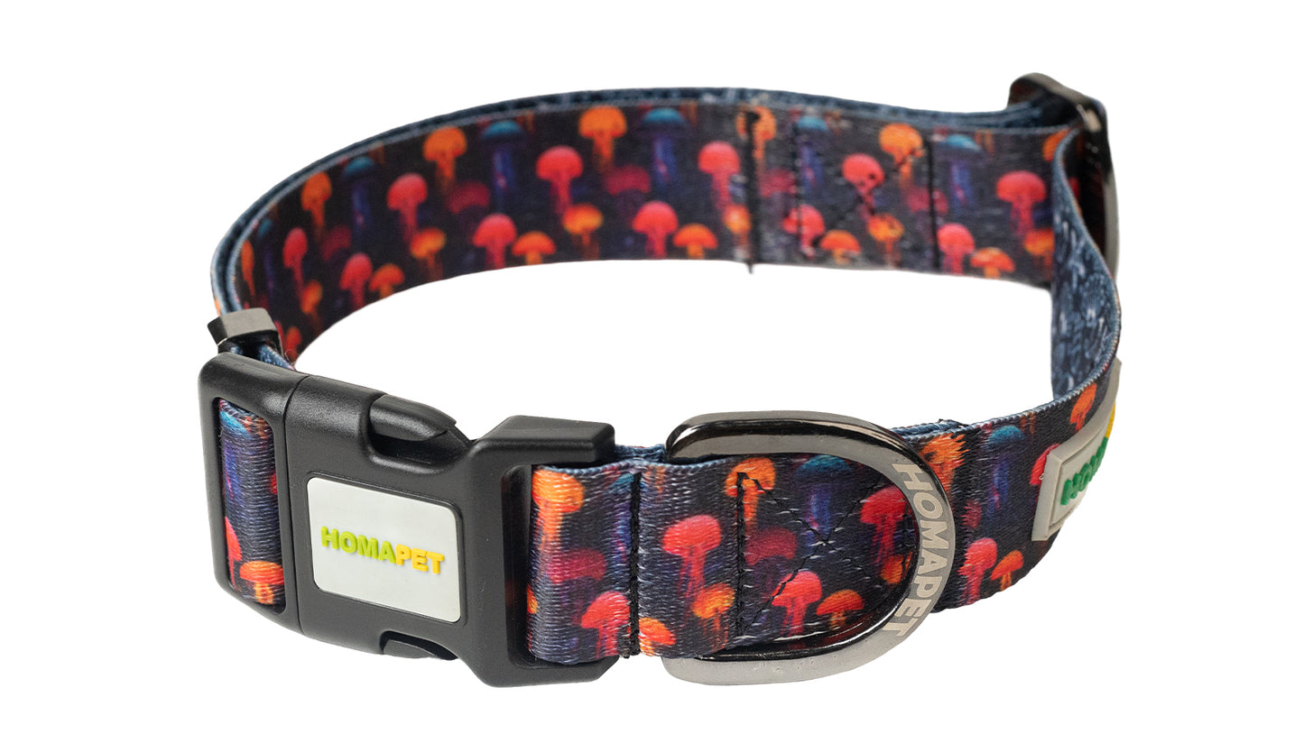 Sea World Polyester Dog Collar