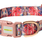 Splash Printed Polyester Dog Collar