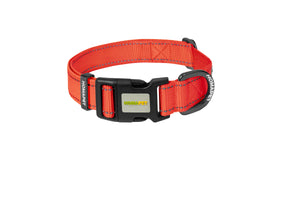 Red Nylon Dog Collar