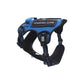 Royal Blue Tactical Dog Harness