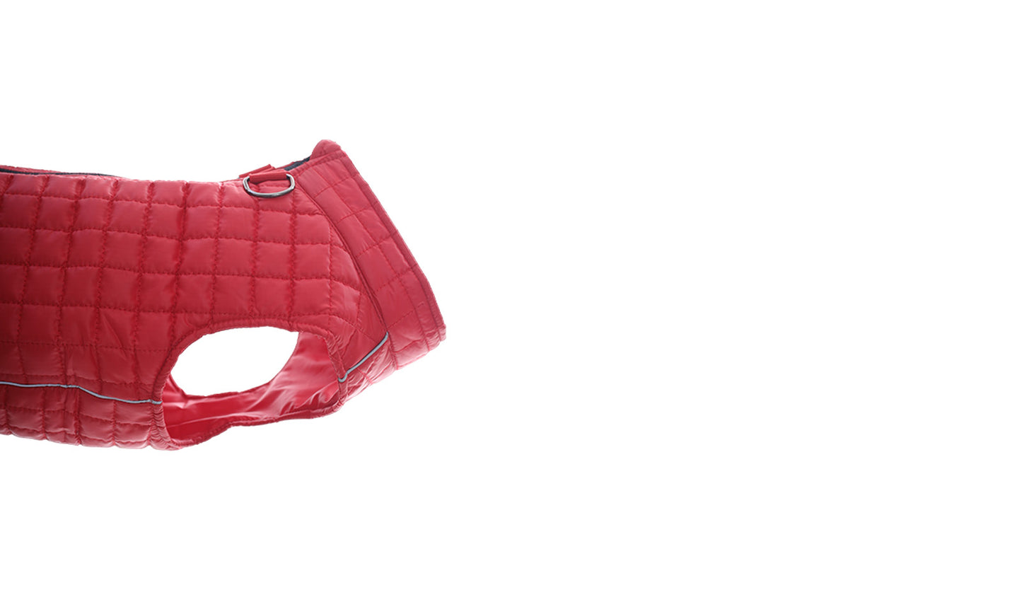 Red Dog Quilted Jacket - Flat