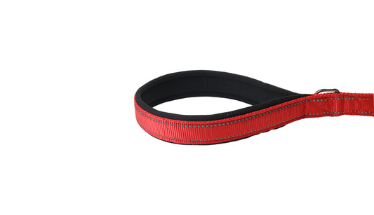 Red Nylon Adjustable Bungee Dog Leash