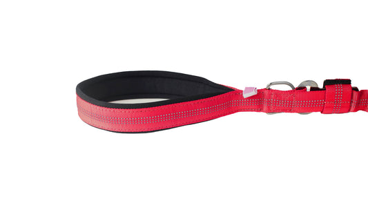 Red Nylon Full Bungee Dog Leash