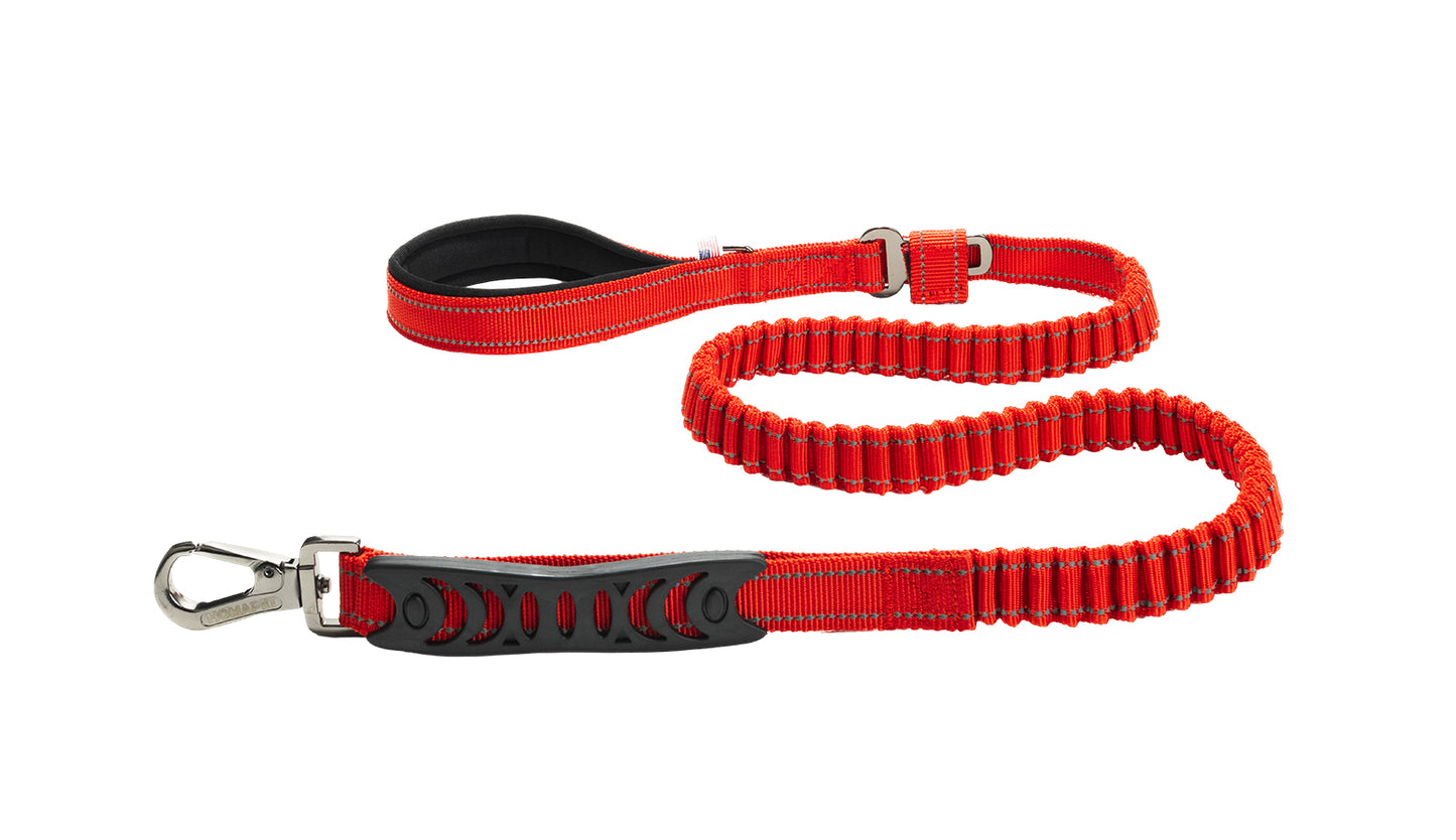 Red Polyester Full Bungee Dog Leash