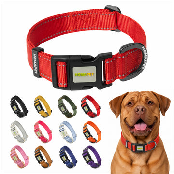 Red Nylon Dog Collar