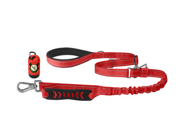 Red Nylon Adjustable Bungee Dog Leash