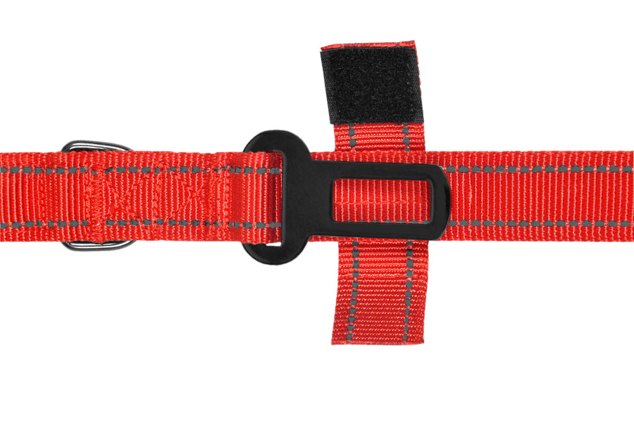 Red Polyester Full Bungee Dog Leash