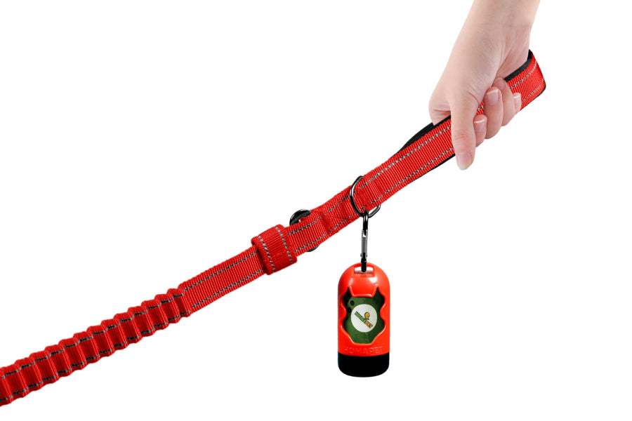Red Polyester Full Bungee Dog Leash