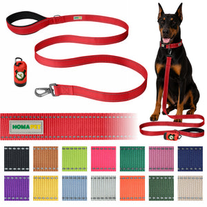 Red Nylon Dog Leash