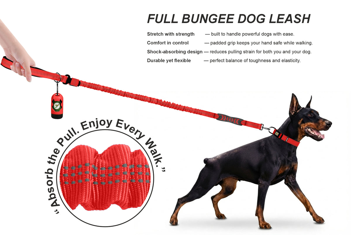 Red Nylon Full Bungee Dog Leash