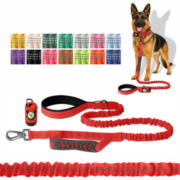 Red Nylon Full Bungee Dog Leash