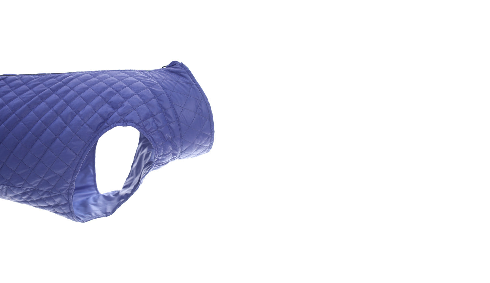 Royal Blue Dog Quilted Jacket - Flat