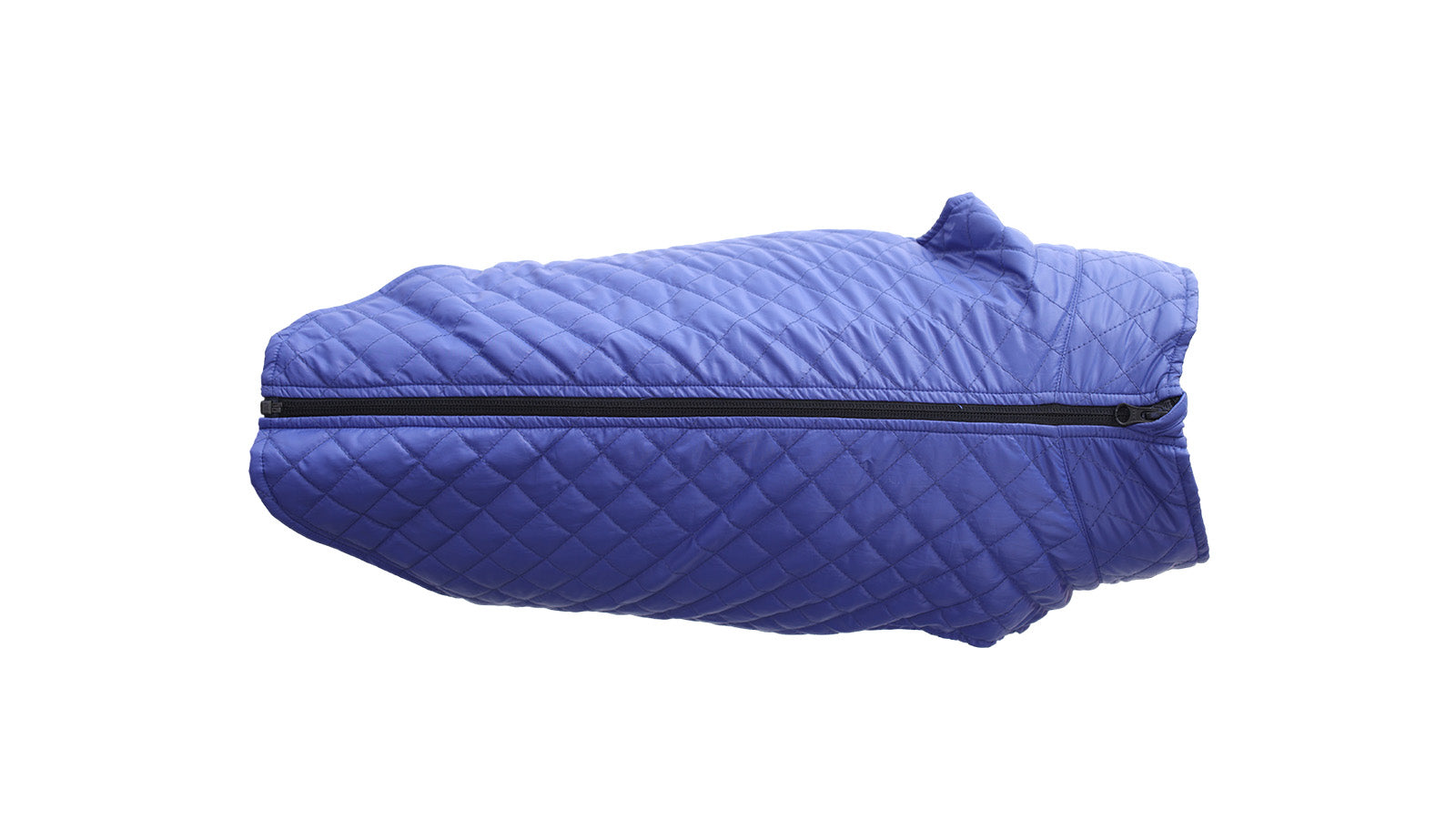 Royal Blue Dog Quilted Jacket - Flat