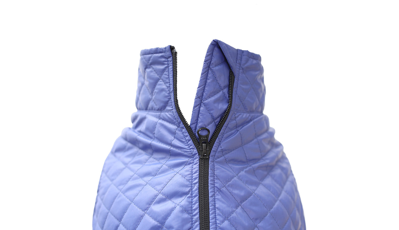 Royal Blue Dog Quilted Jacket - Flat