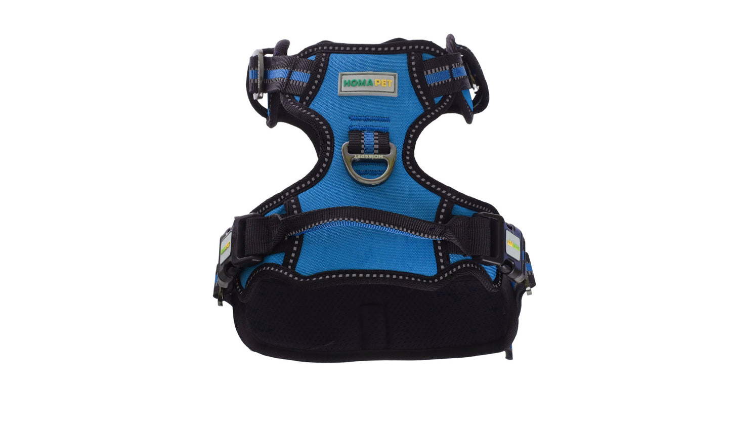 Royal Blue No Pull Dog Harness