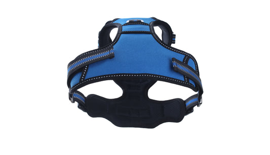 Royal Blue No Pull Dog Harness