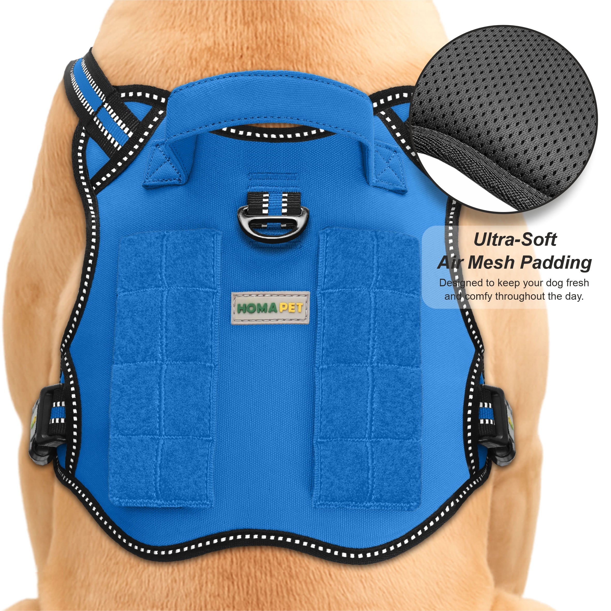 Royal Blue Tactical Dog Harness
