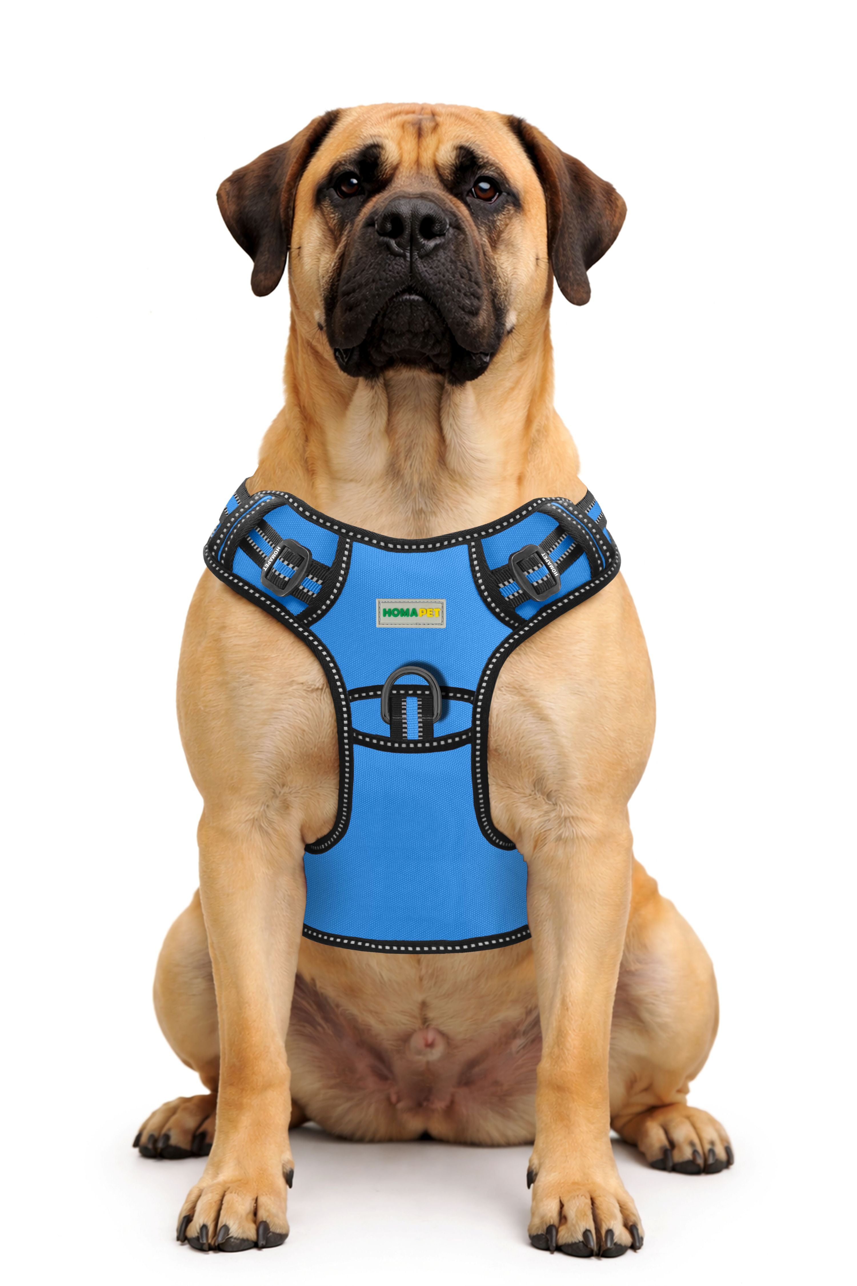 Royal Blue Tactical Dog Harness