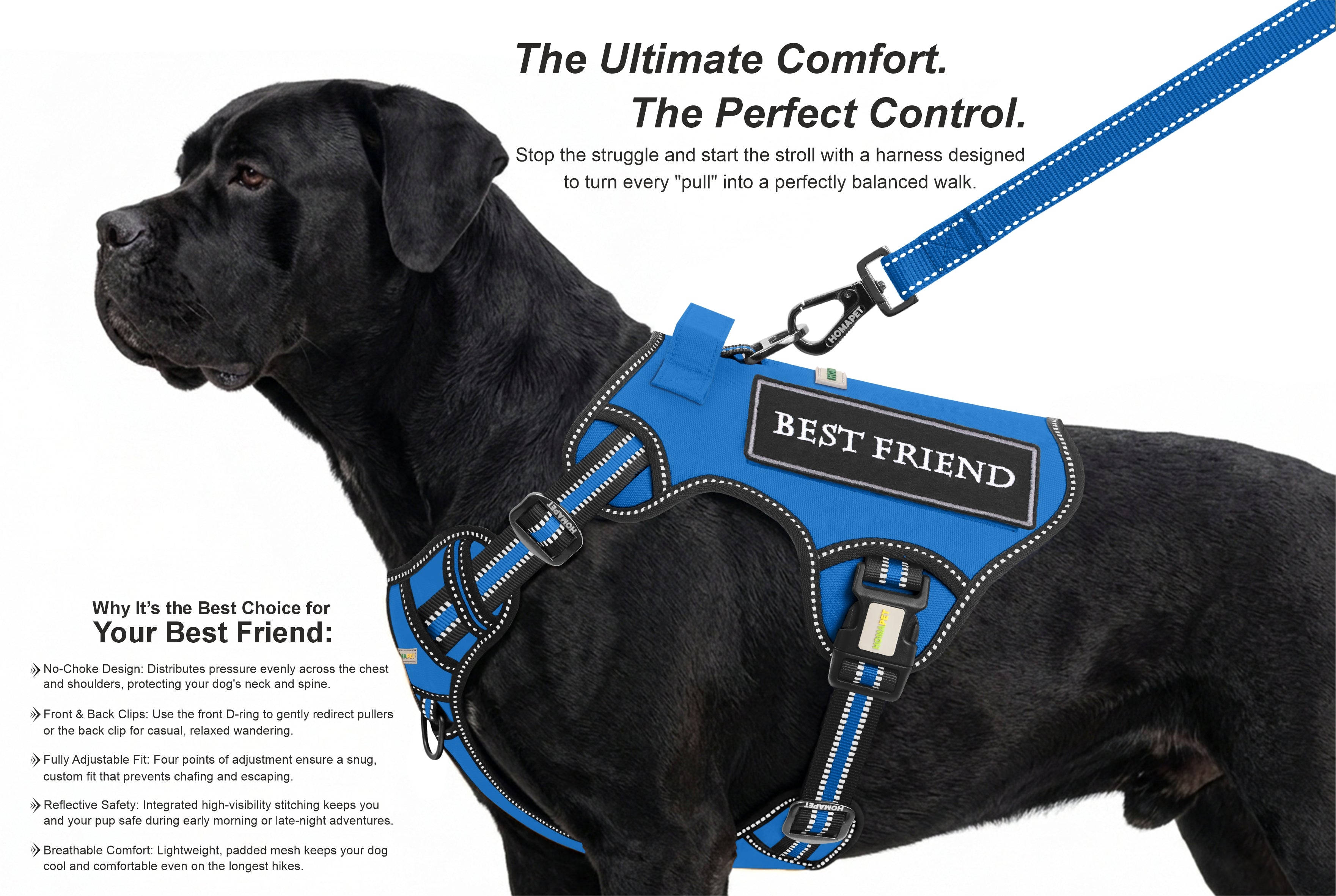 Royal Blue Tactical Dog Harness