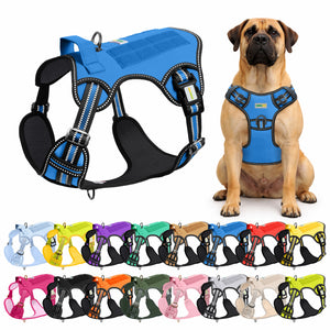 Royal Blue Tactical Dog Harness