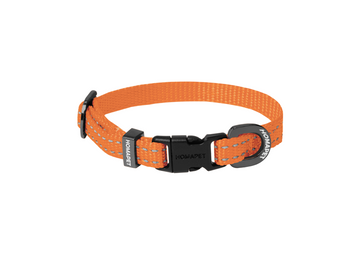 Orange Nylon Dog Collar XS