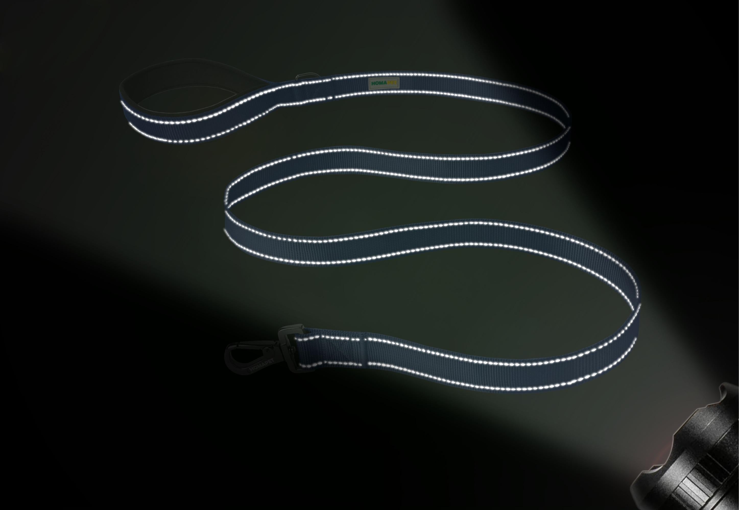 Sodalite Blue Nylon Dog Leash