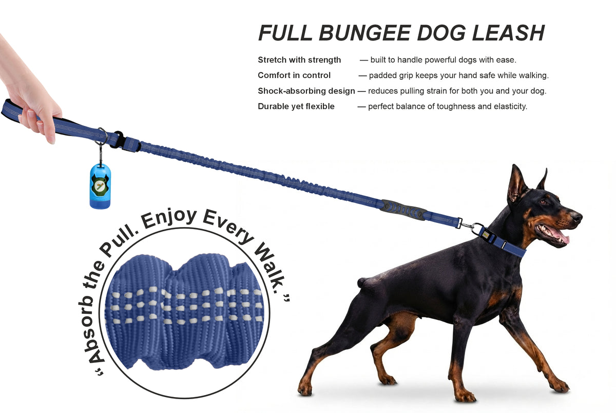 Sodalite Blue Nylon Full Bungee Dog Leash