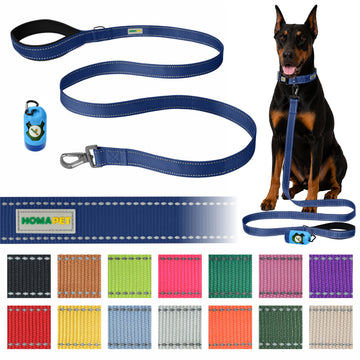 Sodalite Blue Nylon Dog Leash