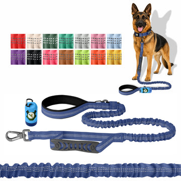 Sodalite Blue Nylon Full Bungee Dog Leash
