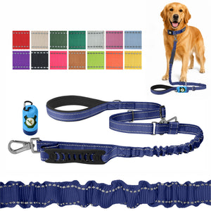 Sodalite Blue Nylon Adjustable Bungee Dog Leash