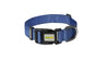 Dog Collars