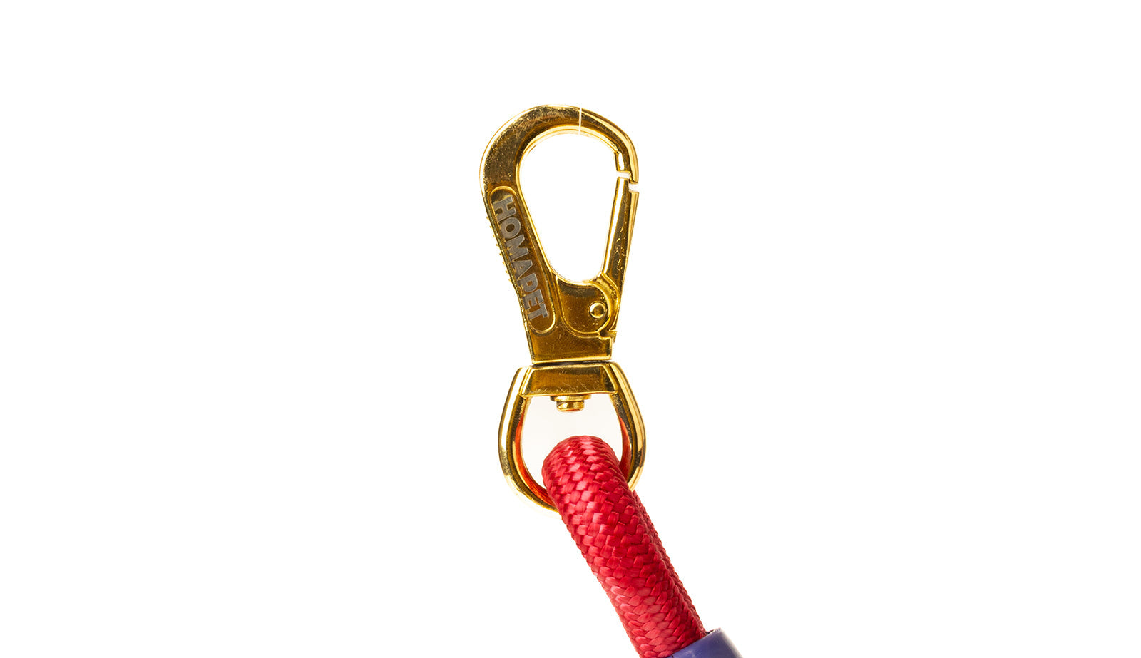 Rainbow Special Edition-Love Dog Ropes
