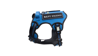 Royal Blue Tactical Dog Harness