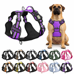 Violet No Pull Dog Harness